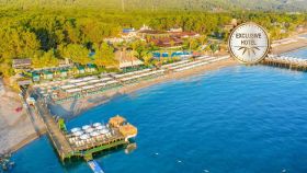 GYPSOPHILA CLUB MARINE